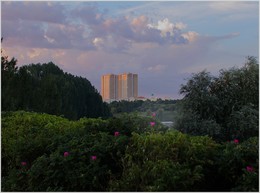 My City / ***