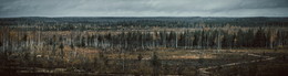 autumn wasteland / No comments.