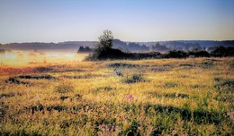 Contemplation. / ***