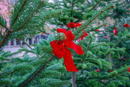Christmas / ***