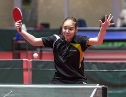 Predictions ... / ***