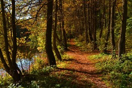 Autumn in Moscow / ***