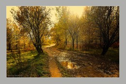 there in September / ***