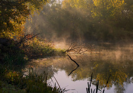 Autumn breath / ***