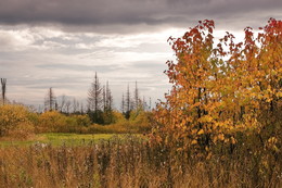 Autumn evening / ***