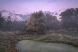 Bridge in the fog / ***