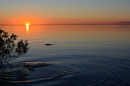 Karelian sunsets / ***