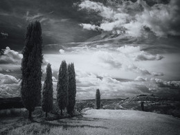 dfbSFB SFGHN / AGDFB adc