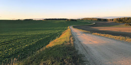 Road / ***
