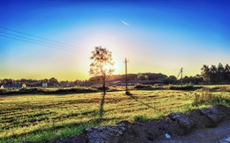 Dawn / ***