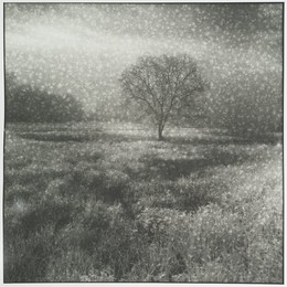 ERH adfb / afbgB SDF