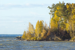 Autumn / ***