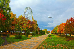 Autumn colors of nature. / ***