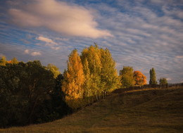 The palette of autumn / ***