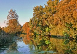 colors of autumn / ***