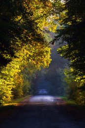 On the way to Fall / ***