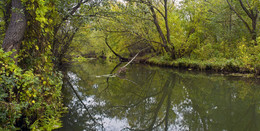 October morning / ***