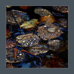 &nbsp; / music: Jethro Tull - Greensleeves 
https://www.youtube.com/watch?v=nihsKqoC5yE