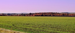 Autumn panorama / ***