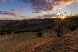 Landscape with lambs / ...