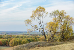 About autumn ... / ***