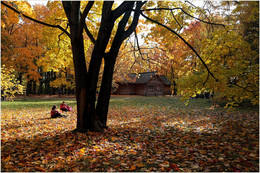 The smell of autumn / ***