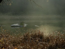 The smell of autumn / ***