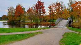 The smell of autumn / ***