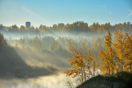 The smell of autumn / ***