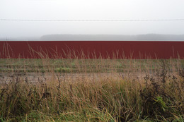 The smell of autumn / ***