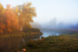 The smell of autumn / ***