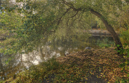 The smell of autumn / ***