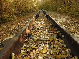 The smell of autumn / ***