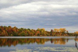 The smell of autumn / ***