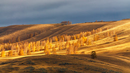 The smell of autumn / ***