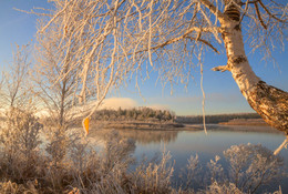 The first frosts / ***