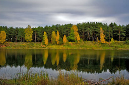 Autumn colors of nature. / ***
