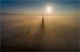 Foggy morning / ***