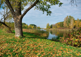 The smell of autumn / +++++++++++
