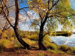 Autumn / https://www.youtube.com/watch?v=ubm47Qkap9c