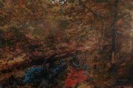 Autumn picture / ***