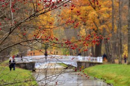 Autumn zarisovochka / ***