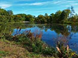 Autumn Pond / 2018
https://www.youtube.com/watch?v=dNOCQPn2sZA