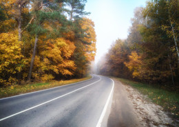 Autumn road / ***