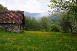 Green / ***