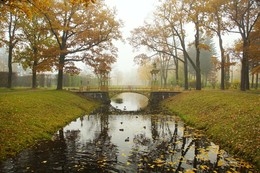 Autumn morning ... / ***