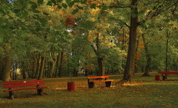 Sadness Autumn / ***