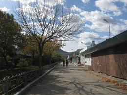 Dead season / [img]https://live.staticflickr.com/65535/48375462407_056255d43e_o.jpg[/img]

[img]https://live.staticflickr.com/65535/48375322126_ea829846da_o.jpg[/img]