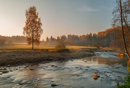 The smell of autumn / ***