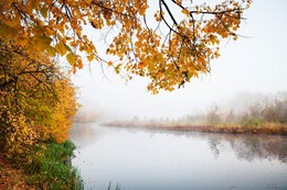 Fog over the river / ***